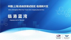中國（上海）自貿(mào)新片區(qū)-臨港藍灣，注冊落戶易居易業(yè)！